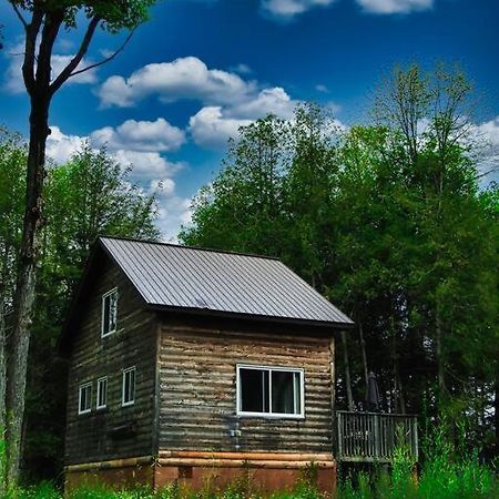 Juniper Cabin- Waterfront Retreat On Mosque Lake Ompah Esterno foto