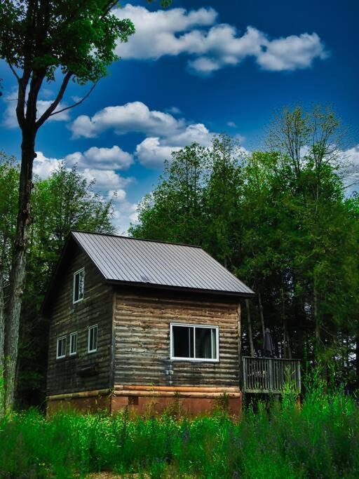 Juniper Cabin- Waterfront Retreat On Mosque Lake Ompah Esterno foto