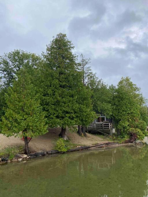 Juniper Cabin- Waterfront Retreat On Mosque Lake Ompah Esterno foto