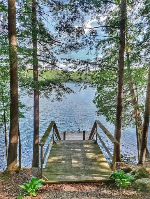 Juniper Cabin- Waterfront Retreat On Mosque Lake Ompah Esterno foto