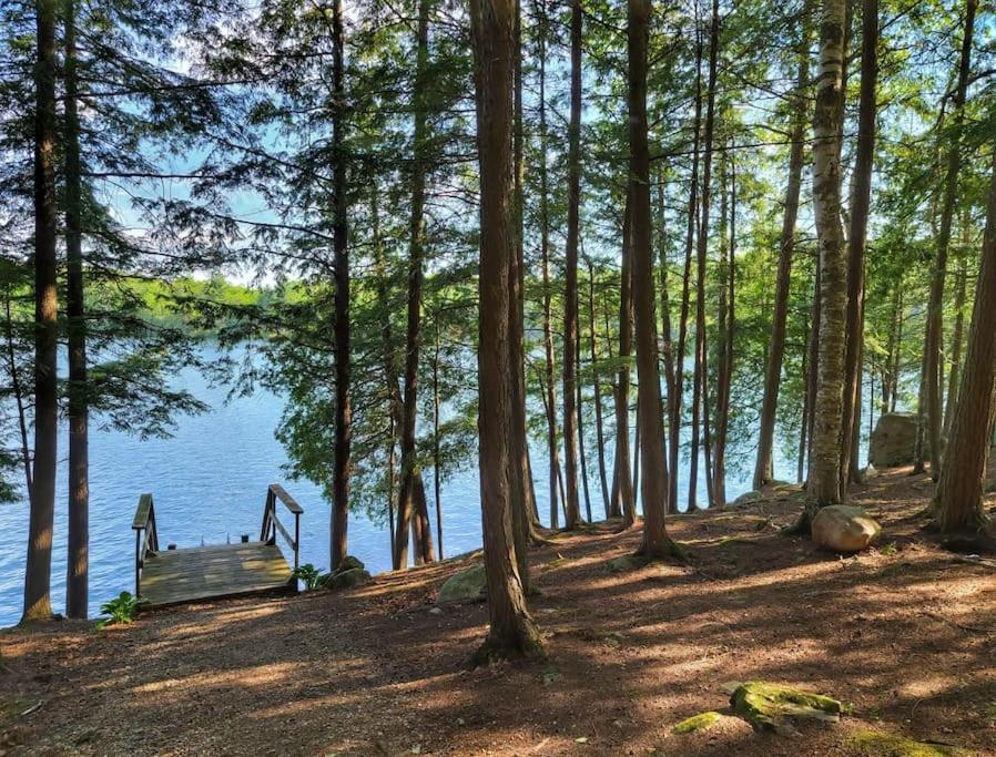 Juniper Cabin- Waterfront Retreat On Mosque Lake Ompah Esterno foto