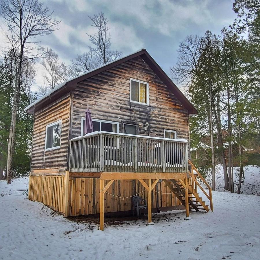 Juniper Cabin- Waterfront Retreat On Mosque Lake Ompah Esterno foto