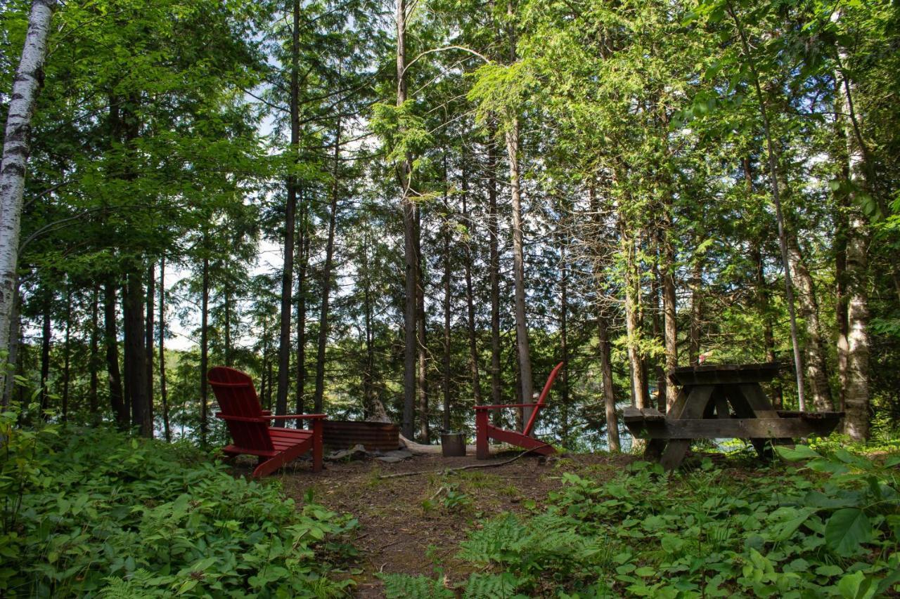 Juniper Cabin- Waterfront Retreat On Mosque Lake Ompah Esterno foto