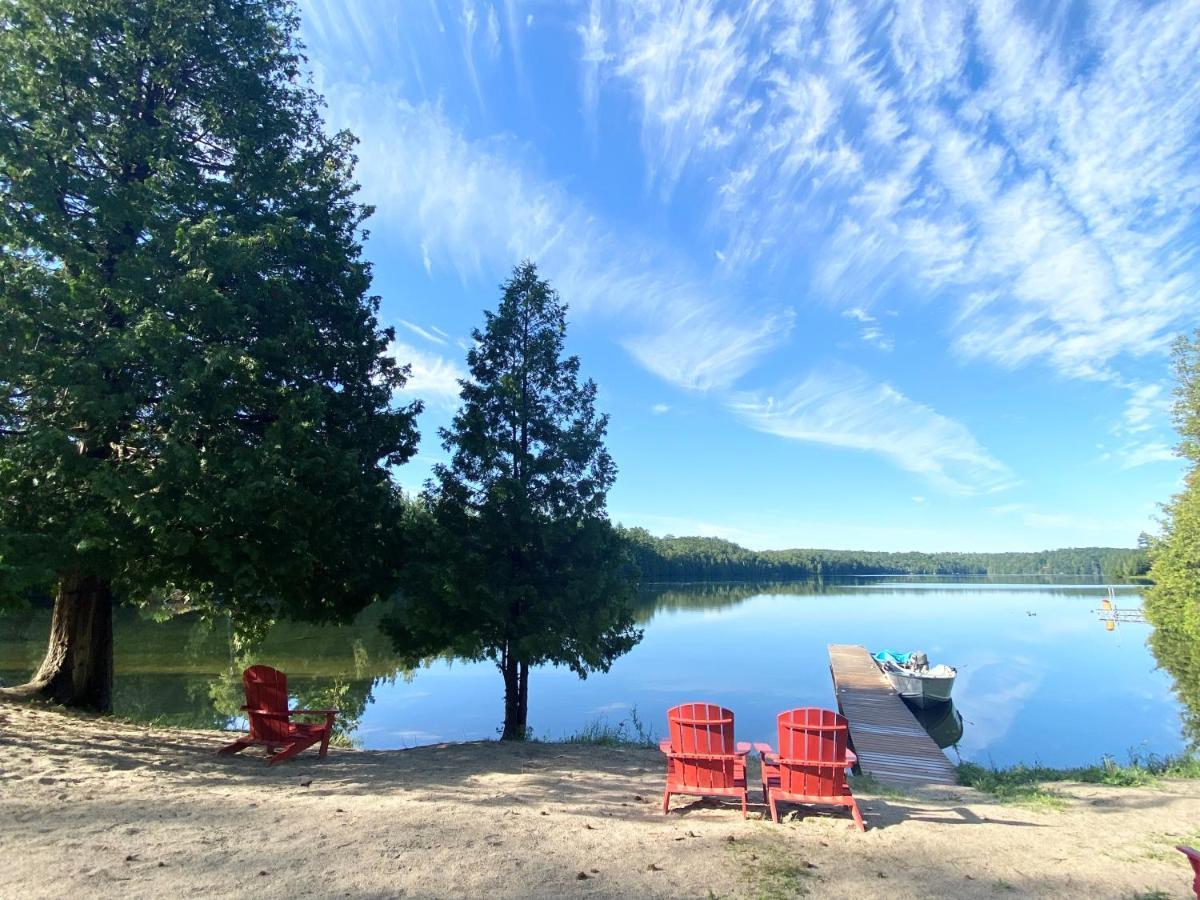 Juniper Cabin- Waterfront Retreat On Mosque Lake Ompah Esterno foto