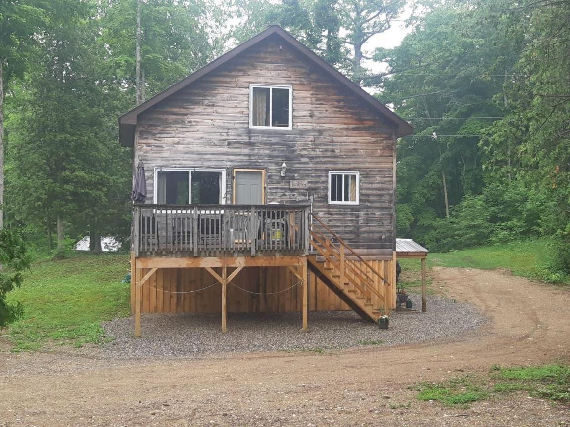 Juniper Cabin- Waterfront Retreat On Mosque Lake Ompah Esterno foto